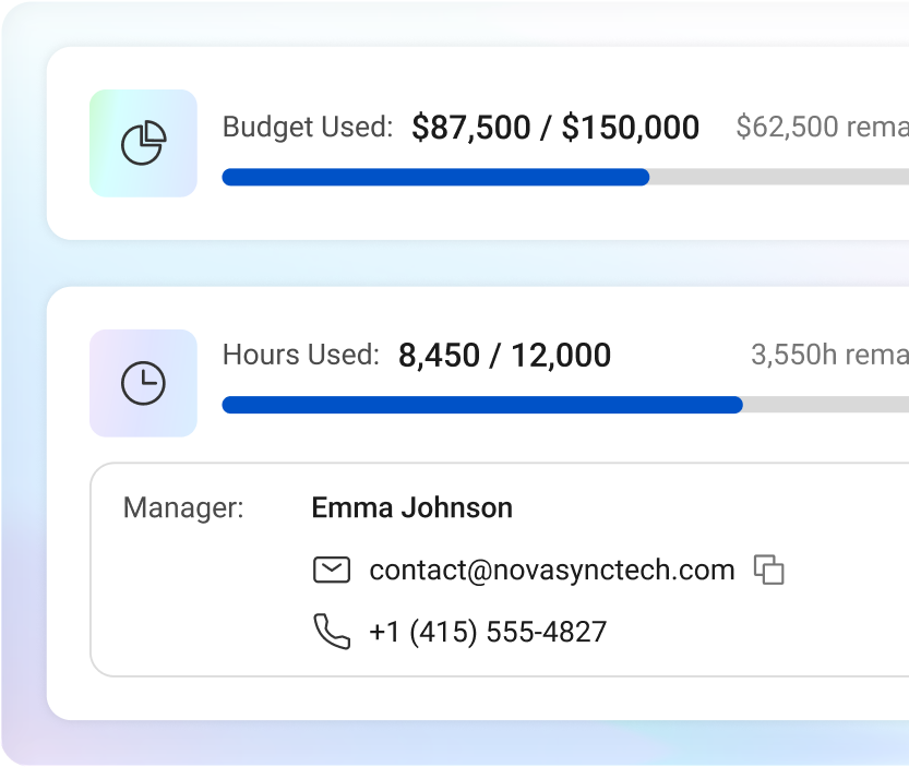 Budget and resource tracking showing budget usage, hours tracking, and manager info